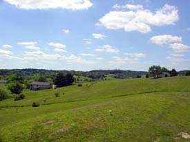 Backyard Views!