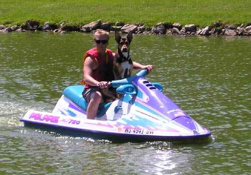 A boy and his dog having fun at Lake Redstone