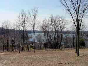 View The Lake